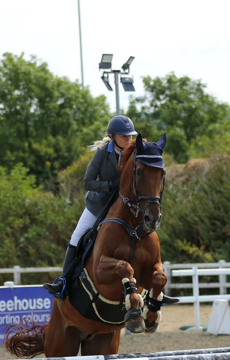 showjumping woman on a big horse