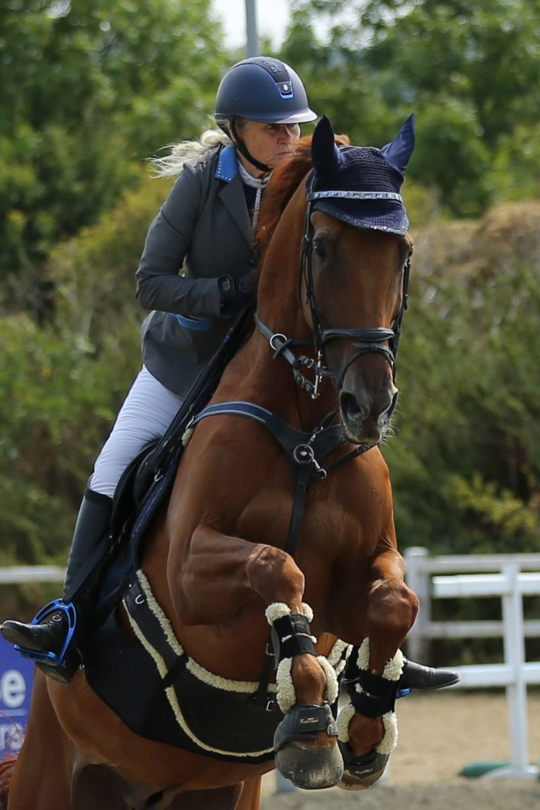 showjumper by dave waddicor photography