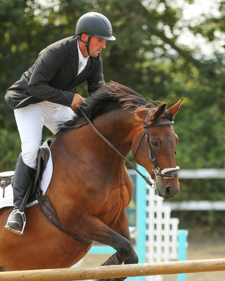 man on showjumping hosre  in gloucestershire