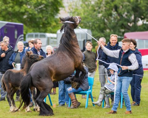 show photography south wales