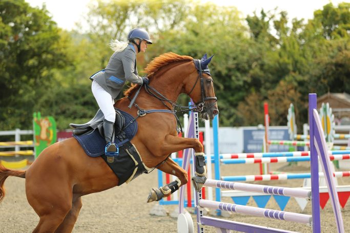 huge cheshnut horse jumping a fence
