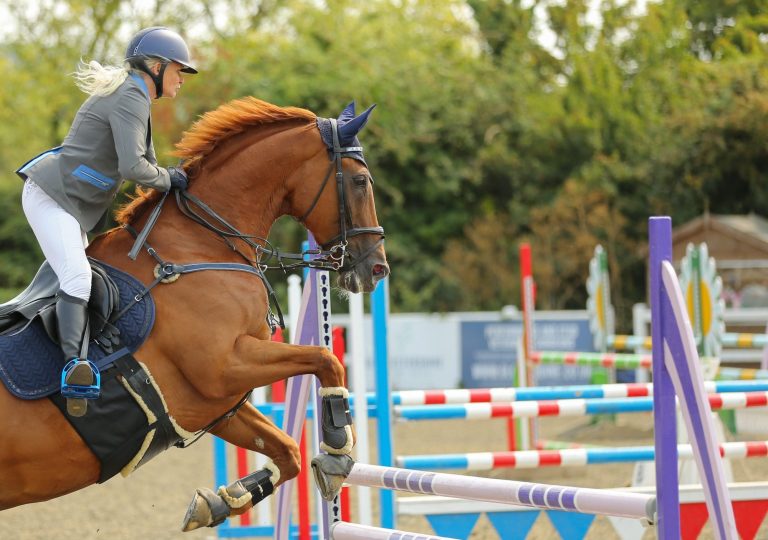 show jumping photographer in royal windsor