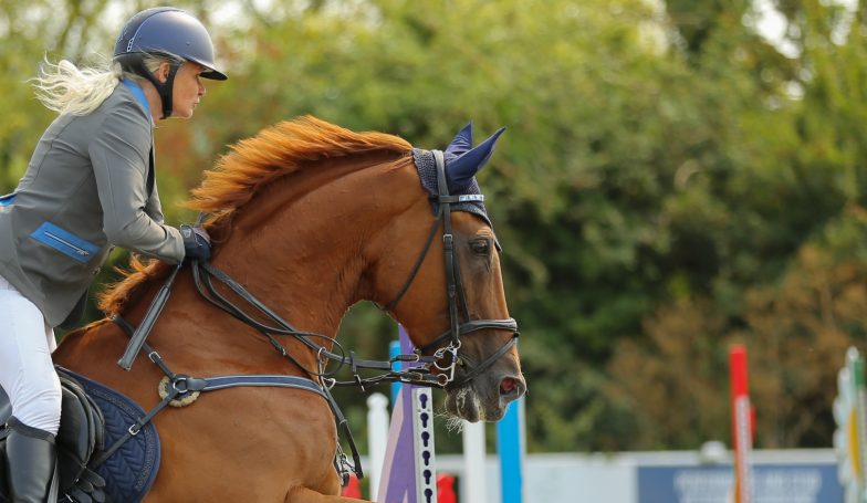 equestrian competition photography at the david broome event center chepstow