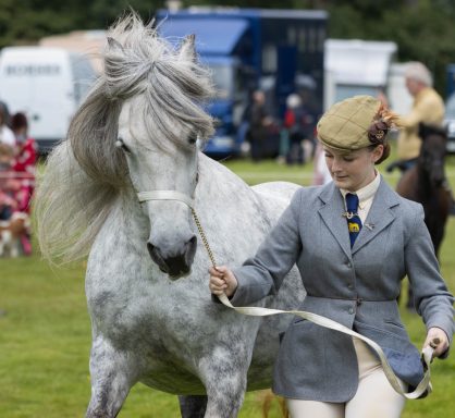 lifestyle image of a fell pony rider at an event in the lake district north west england